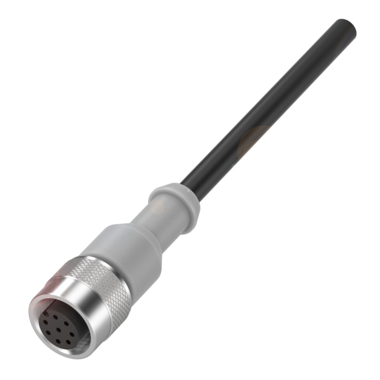 BALLUFF Female 8 way Straight to Unterminated Free End Sensor Actuator Cable, 5 m