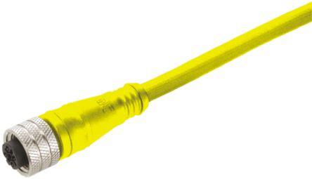 Brad 2m Power Cable Assembly, 4POS Circular to Unterminated, 3 A, 60 V
