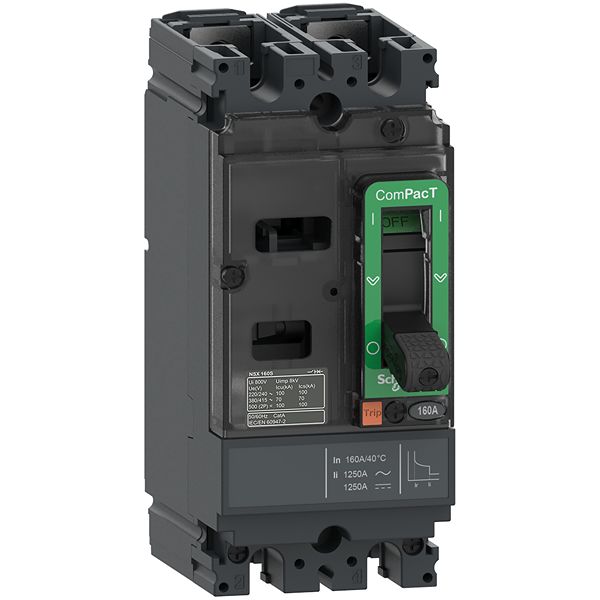 Schneider Electric ComPact NSX Electronic Circuit Breaker 80A 690 V ac, 500V dc, 2 channels, Fixed Thermomagnetic