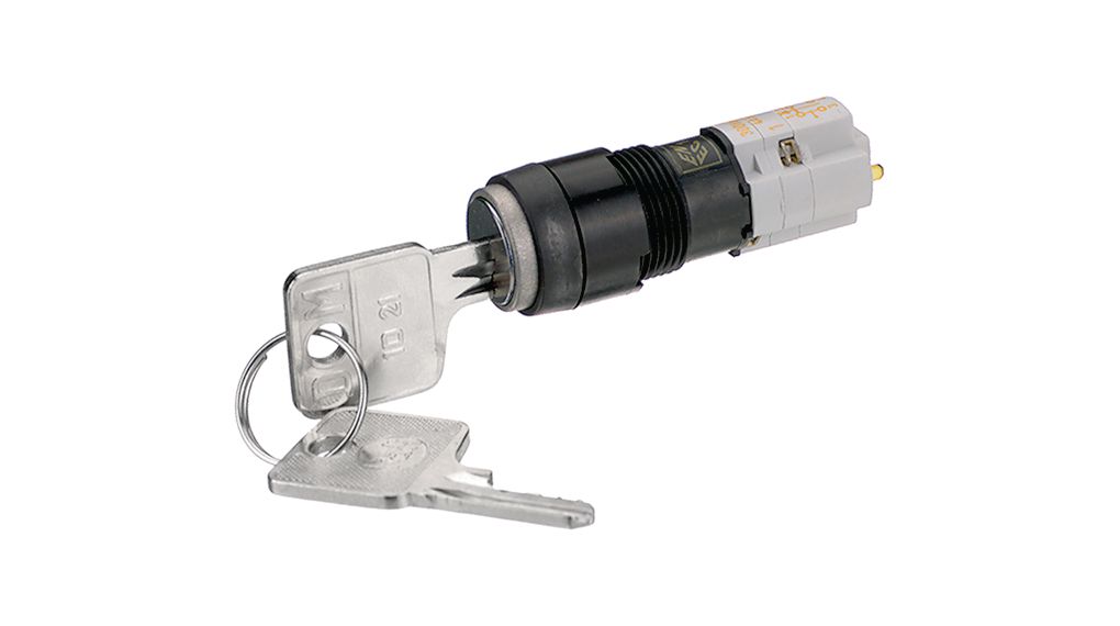 RAFI IP40 Key Switch, 1 NO + 1 NC, 4A