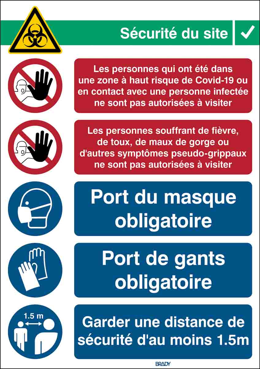 Brady Safety Wall Chart, Polypropylene B-7527, French 371 mm 262 mm