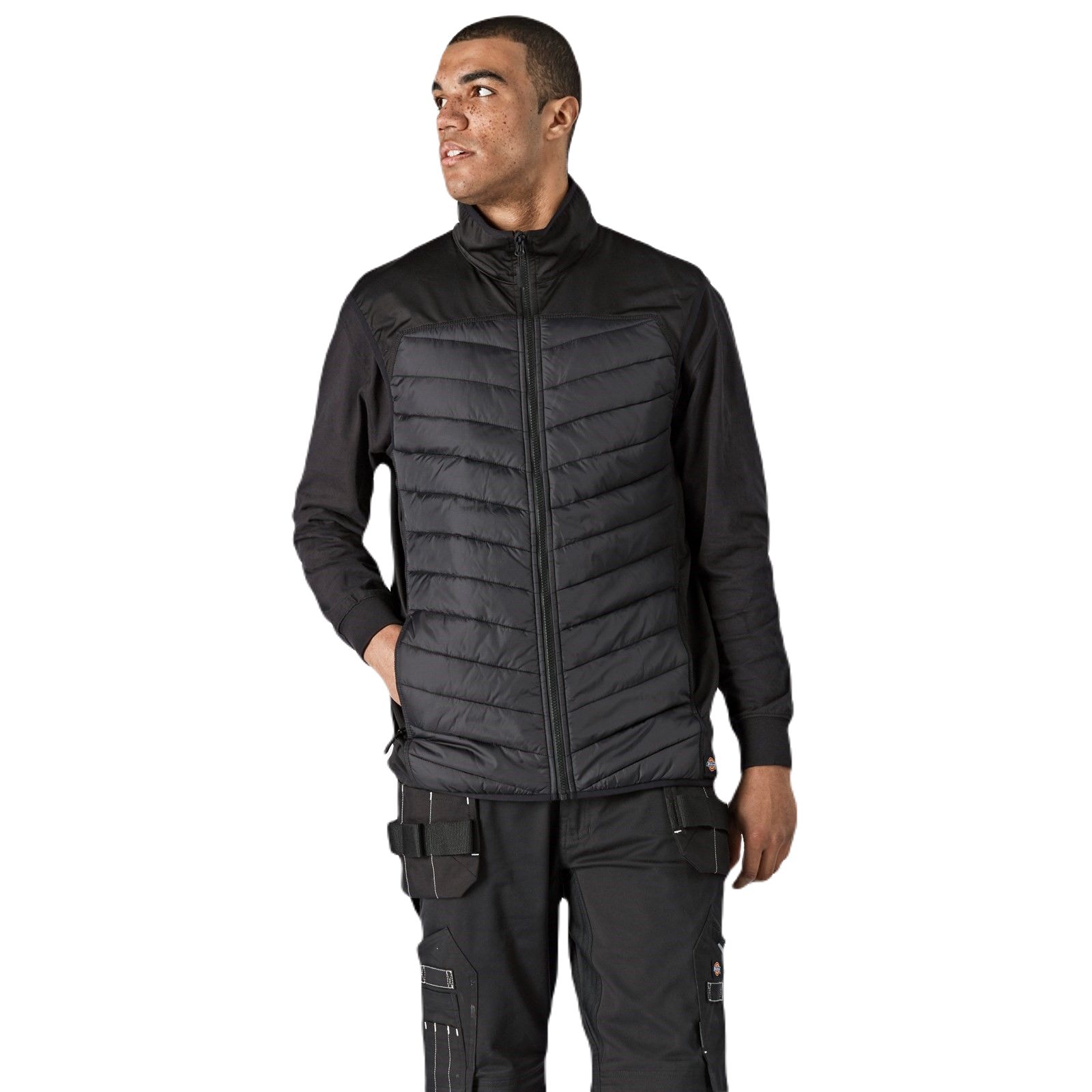 Dickies DK0A4XTD Black Thermal Insulation Men's Work Waistcoat, M