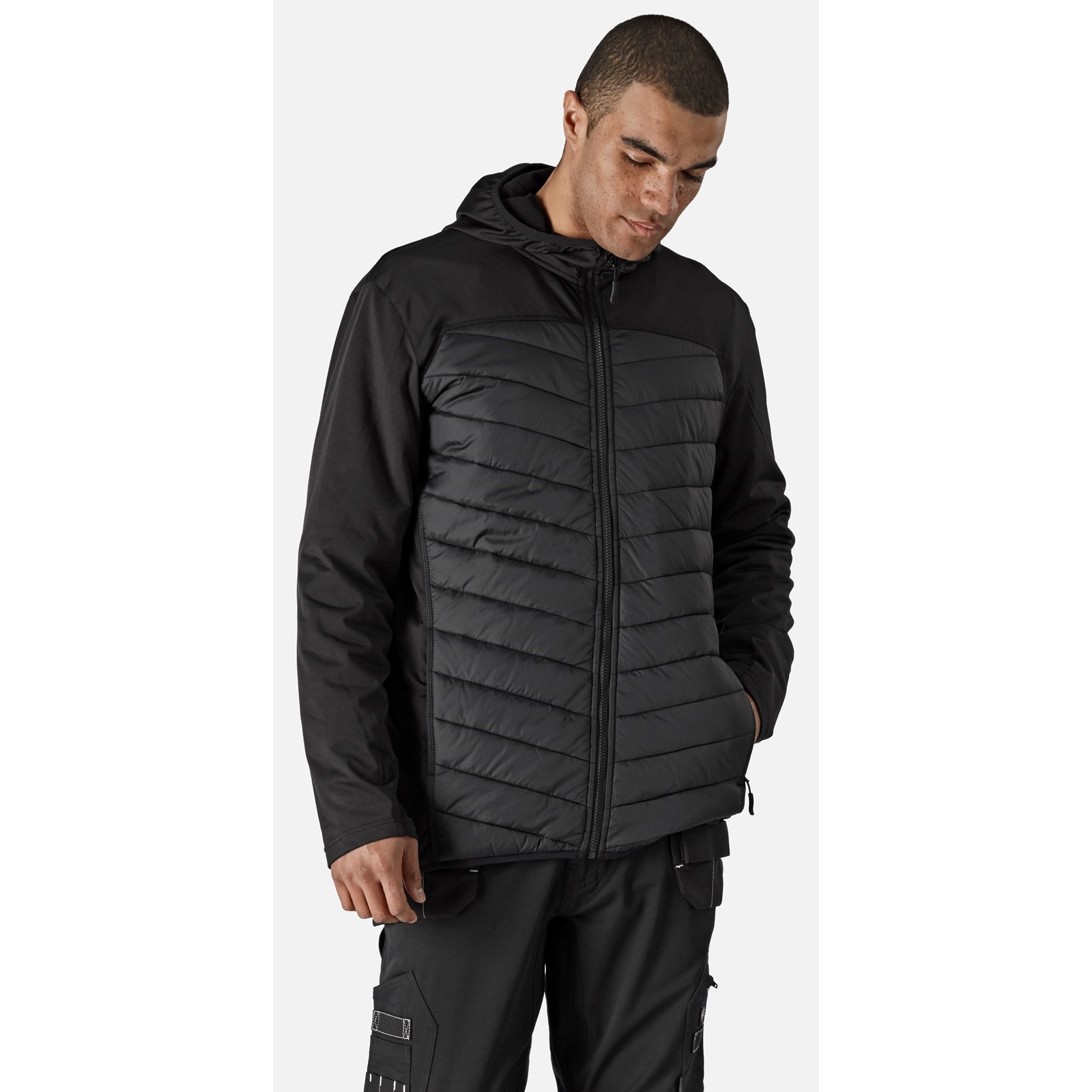 Dickies DK Black, Thermal Insulation Jacket Zipper, 2XL 1 EA
