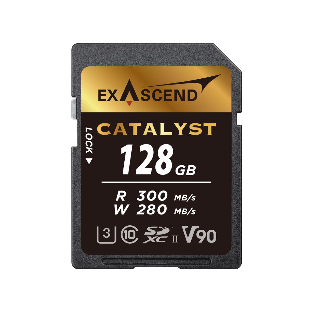 Exascend 128 GB SDXC SD Card, UHS 1