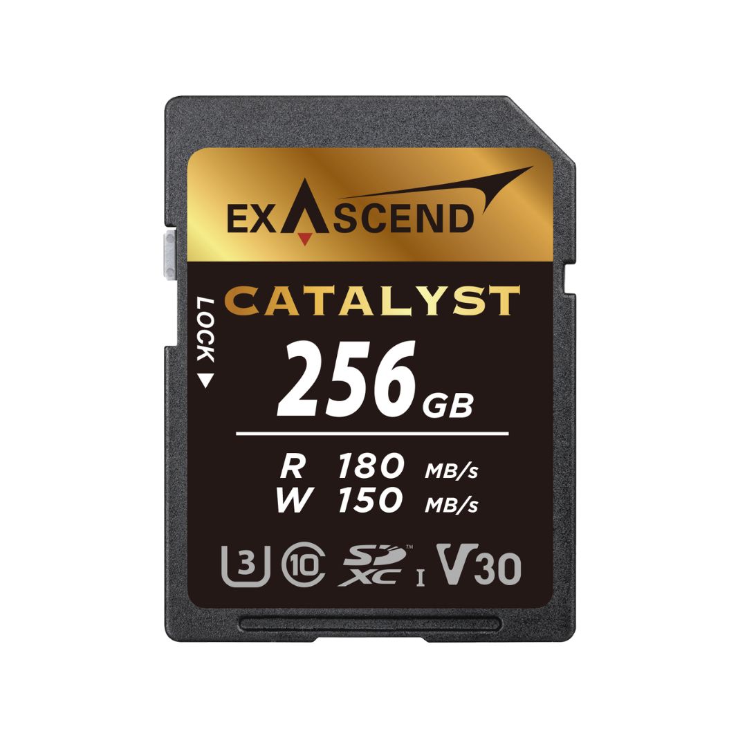 Exascend 256 GB SDXC SD Card, Class 10