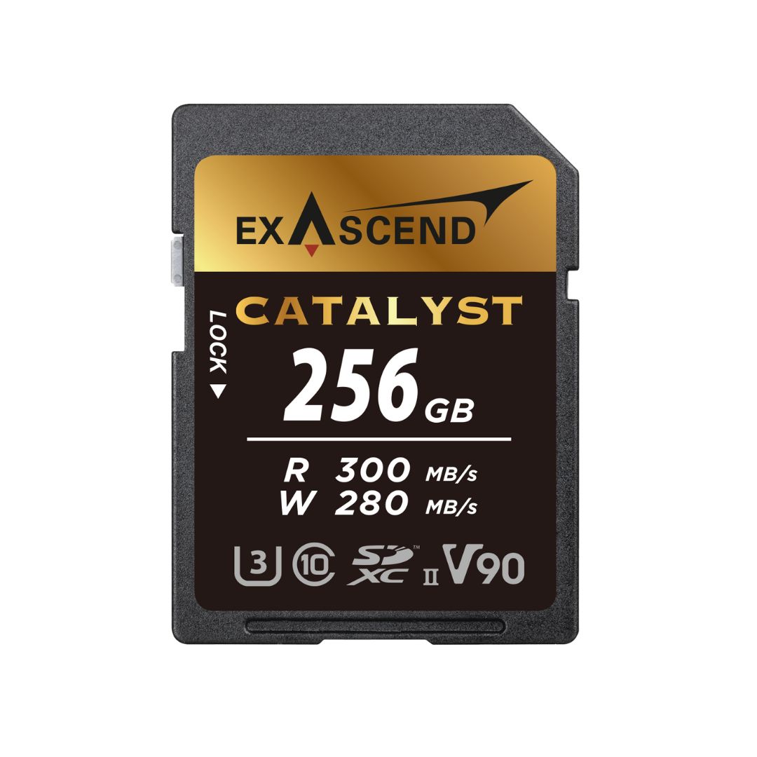 Exascend 256 GB SDXC SD Card, UHS 1