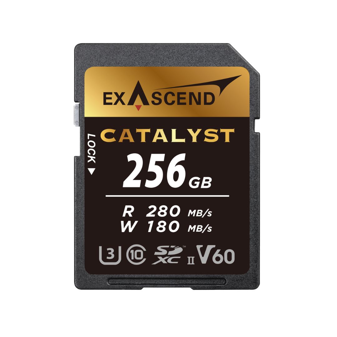 Exascend 256 GB SDXC SD Card, UHS 1