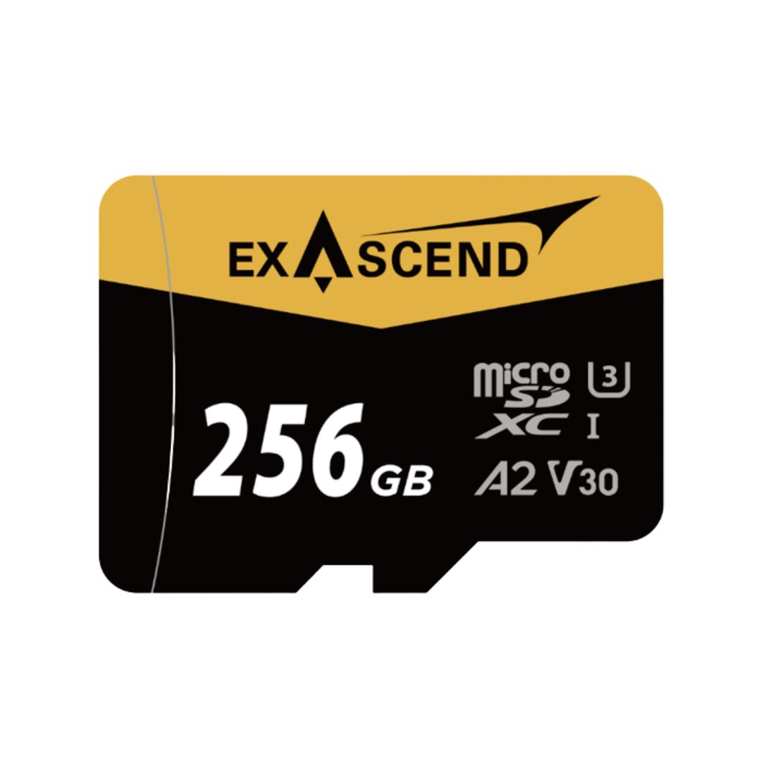 Exascend 256 GB MicroSDXC Micro SD Card, Class 10