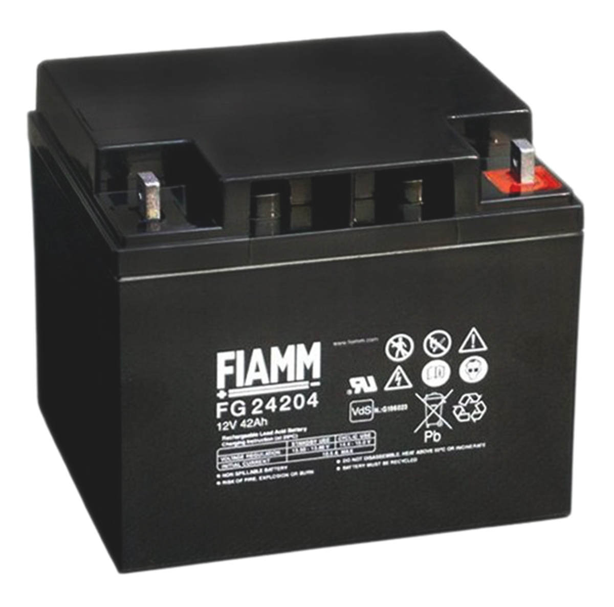Fiamm 12 V Sealed Lead Acid Battery, 42 Ah, 165mm x 170 mm
