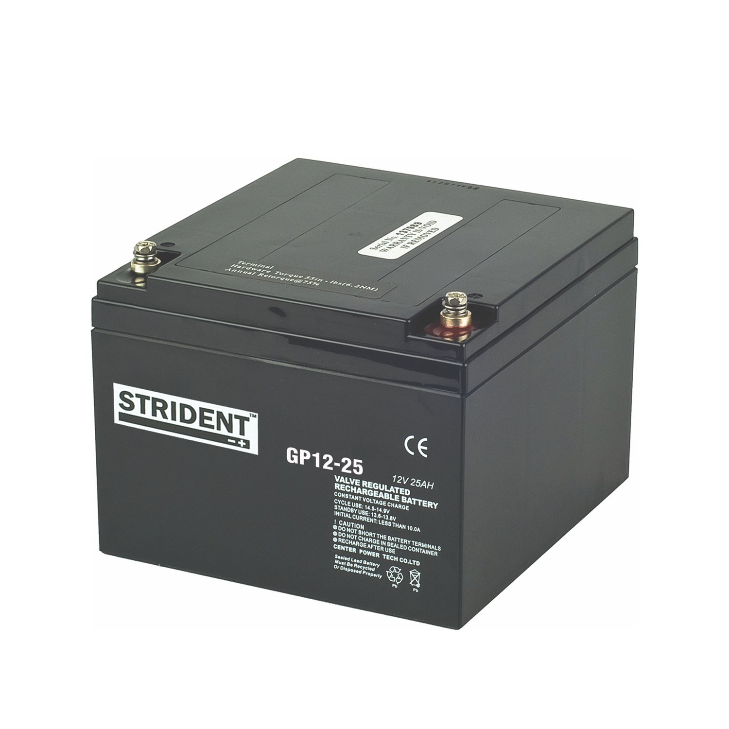 Strident 12 V Battery, 25 Ah, 175mm x 125 mm