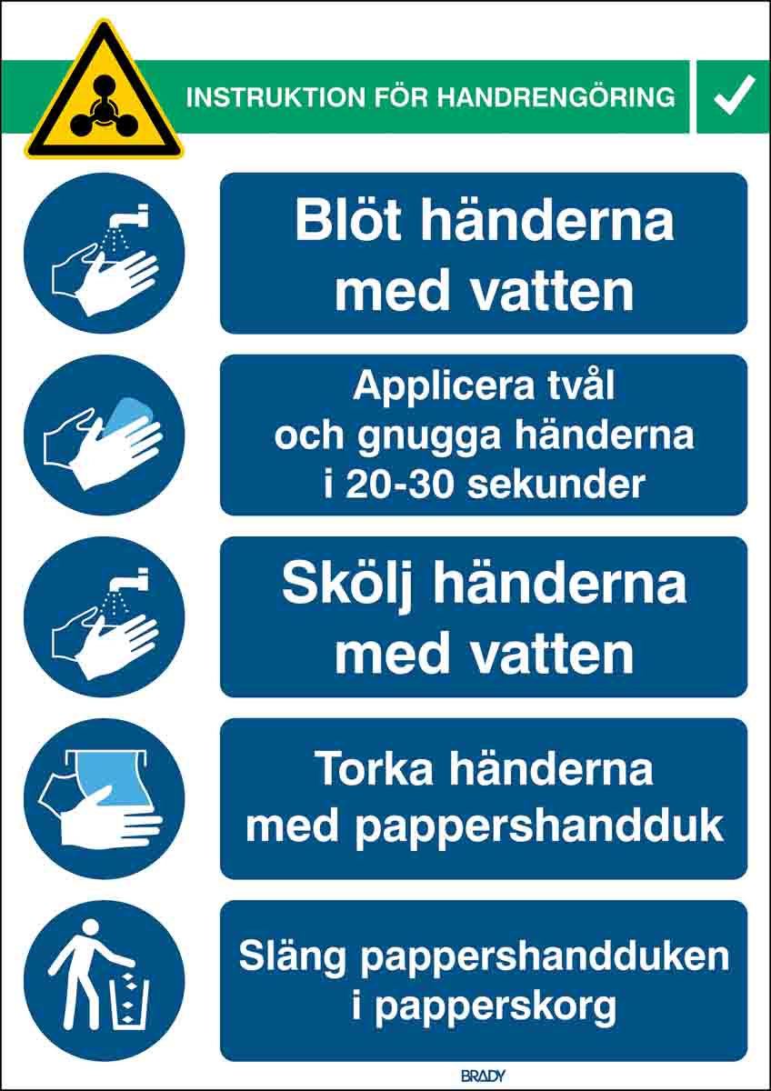 Brady Safety Wall Chart, Polypropylene B-7527, Swedish 371 mm 262 mm