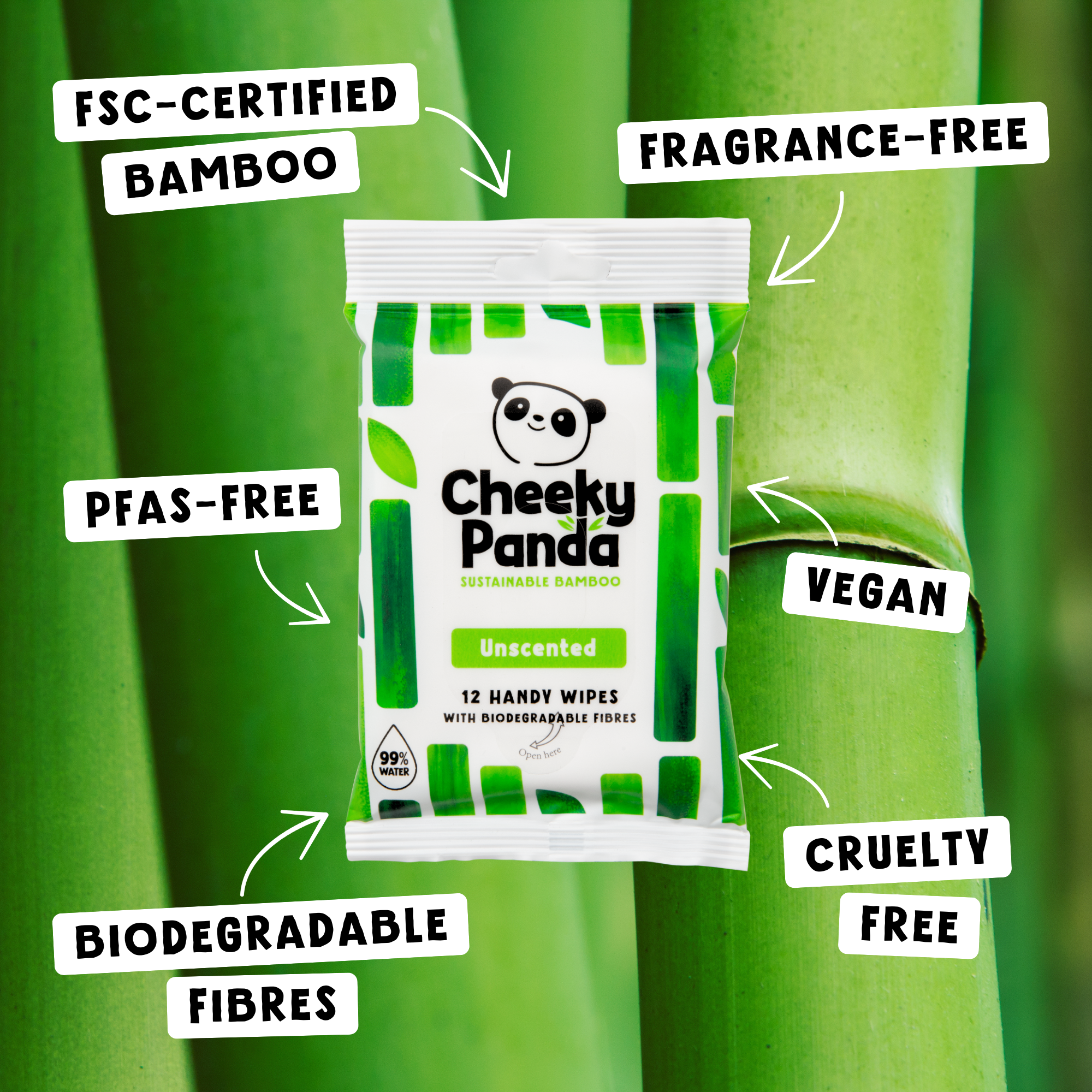 handwx72 The Cheeky Panda Ltd HANDWX72 Wet Biodegradable, Box of, 155 x 195 mm 12 Per Pack