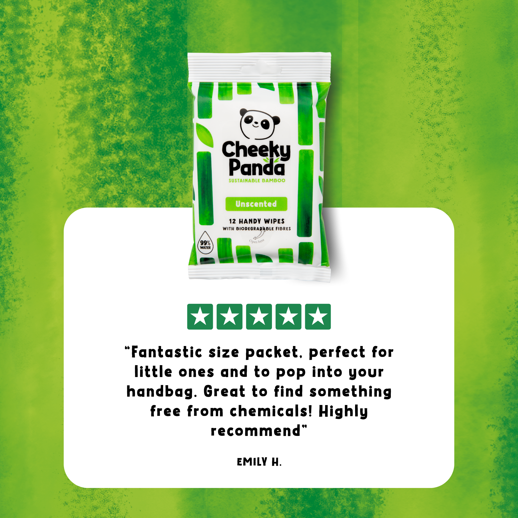 handwx72 The Cheeky Panda Ltd HANDWX72 Wet Biodegradable, Box of, 155 x 195 mm 12 Per Pack