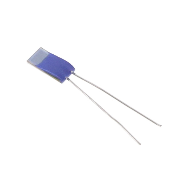 Heraeus RTD Sensor