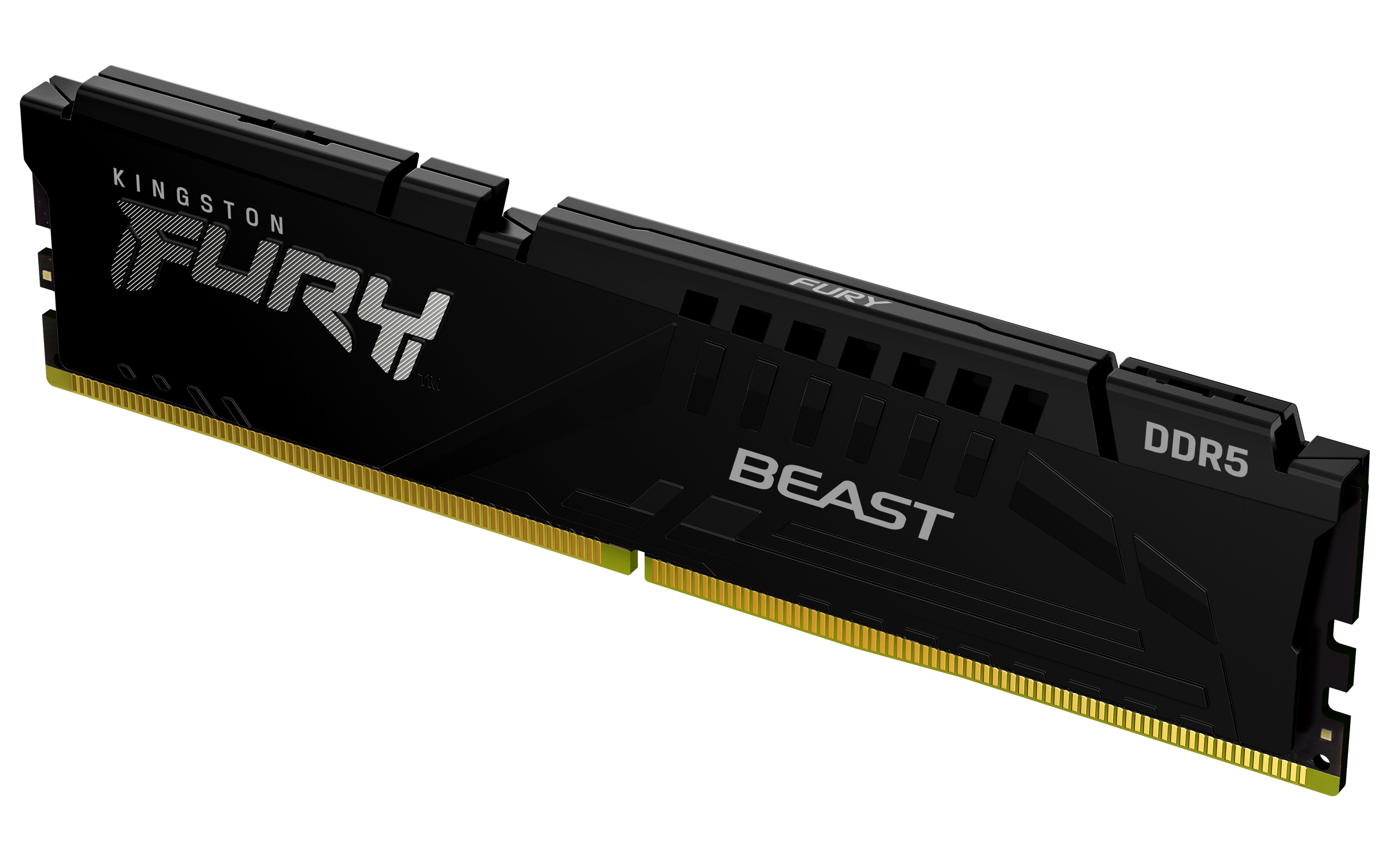 Kingston 16 GB DDR5 Desktop RAM, DIMM, 1.1V