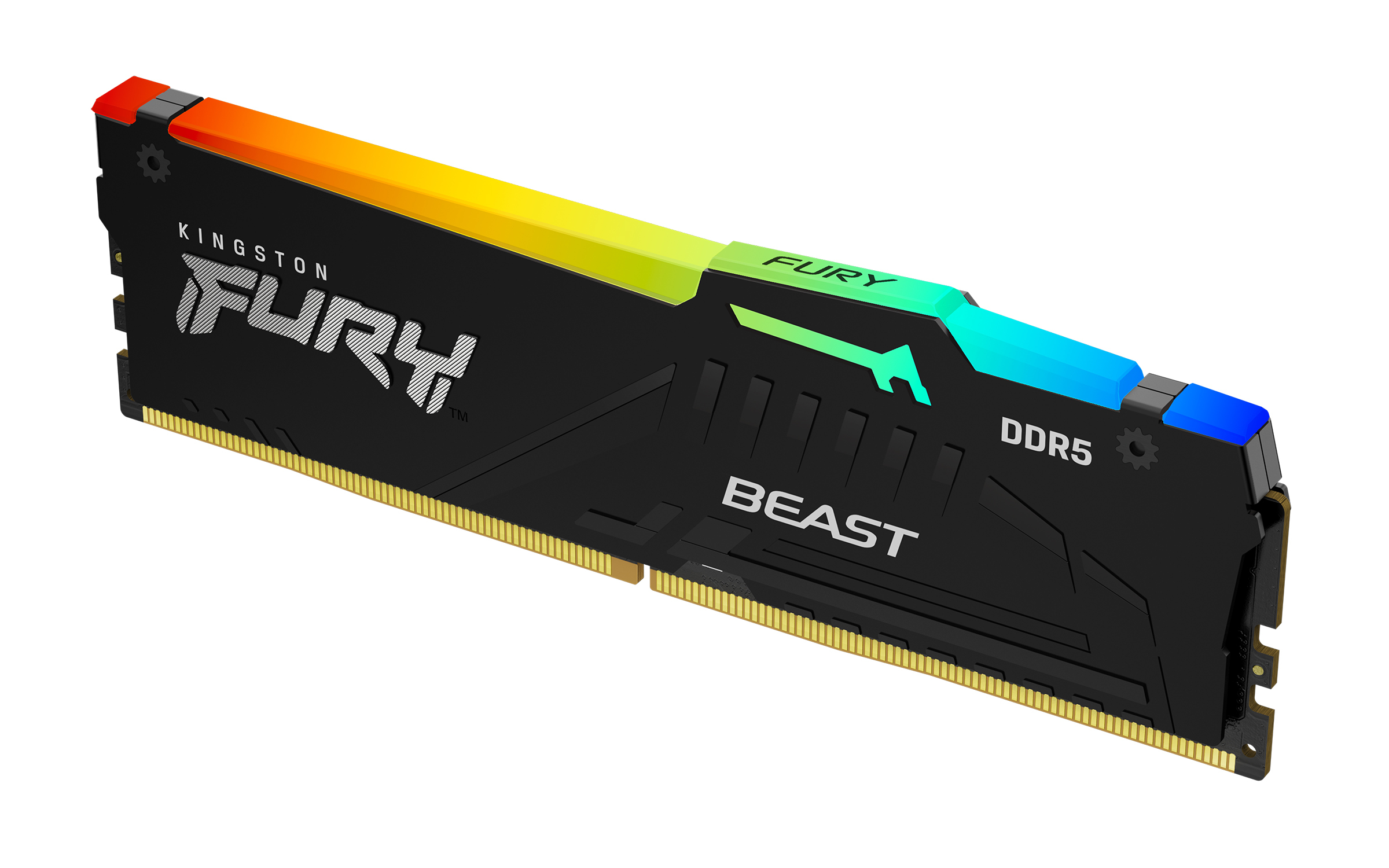 Kingston 16 GB DDR5 Desktop RAM, DIMM, 1.1V