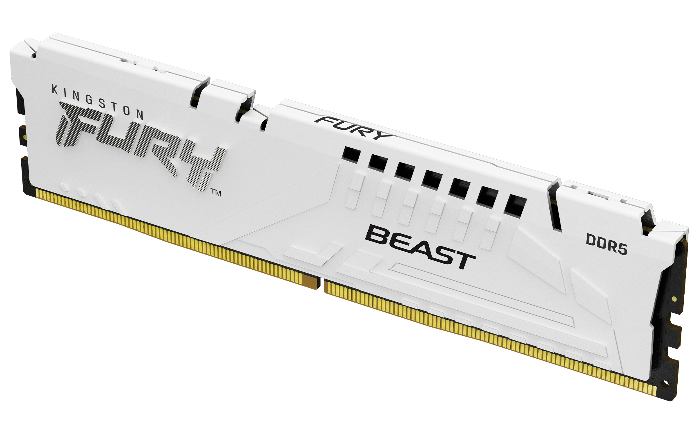Kingston 16 GB DDR5 Desktop RAM, DIMM