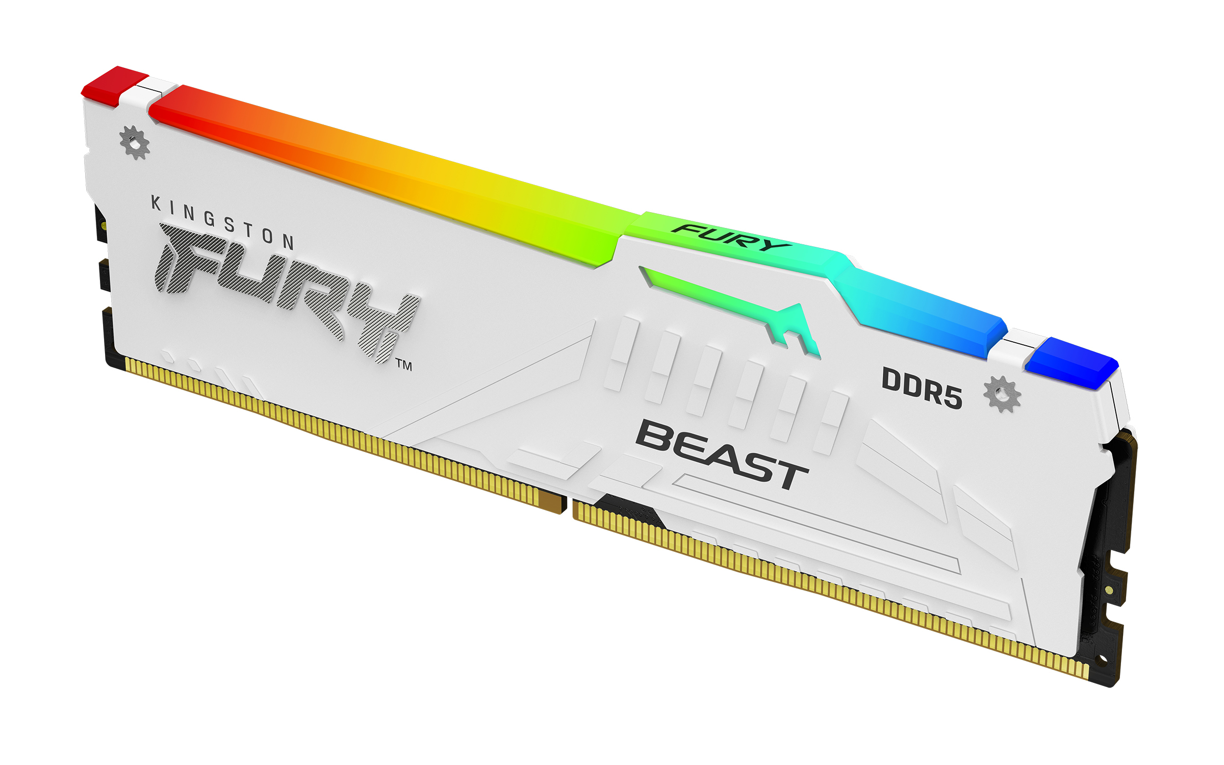 Kingston 16 GB DDR5 Desktop RAM, DIMM
