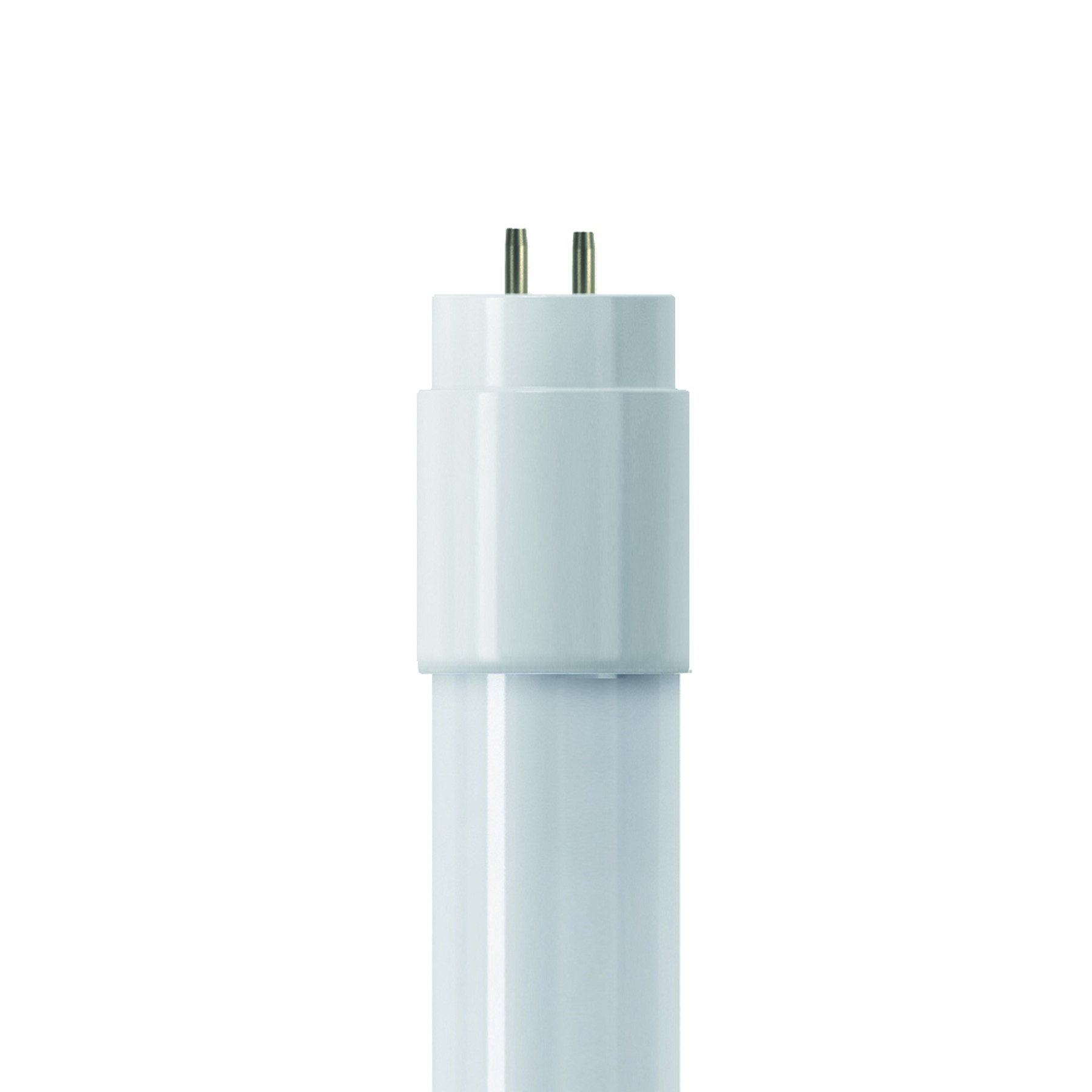 SHOT LT T8 HIGH EFFICIENCY GLASS LED TUBE 2700 lm 18 W LED Tube Light, G13 Cap, 4 ft (1200 mm)