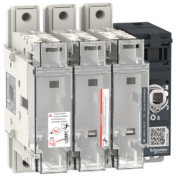 Schneider Electric Fuse Switch Disconnector, 3-Pole, 125 kA, 125A