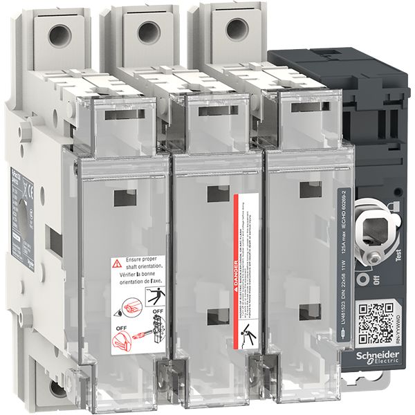 Schneider Electric Fuse Switch Disconnector, 3-Pole, 100 kA, 125A