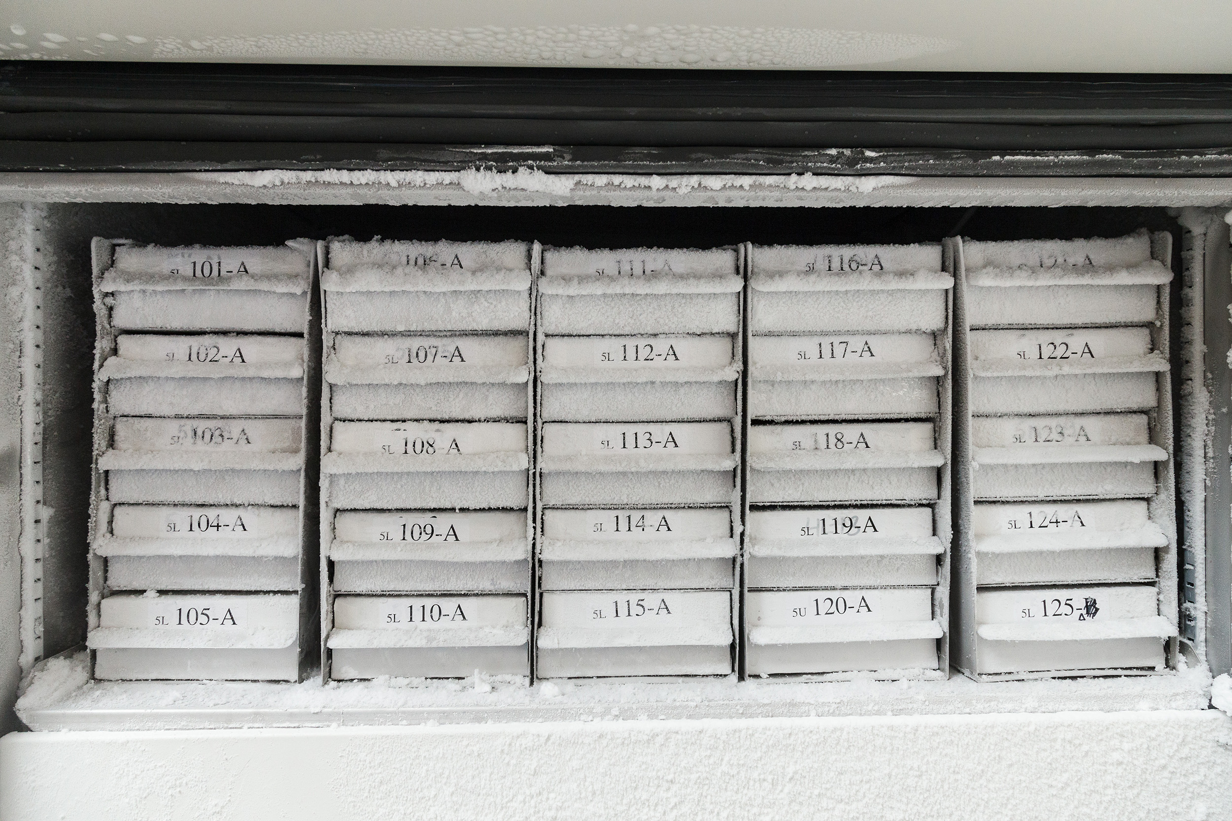 m21-500-499 Brady Black on White, Black Label Printer Tape, 4.87 m Length, 12.7 mm Width, 4.90 m Label Length, 12.7 mm Label Width