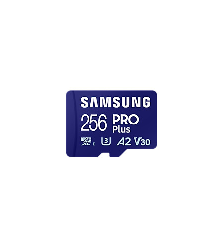 Samsung 256 GB MicroSDXC Micro SD Card, Class 10