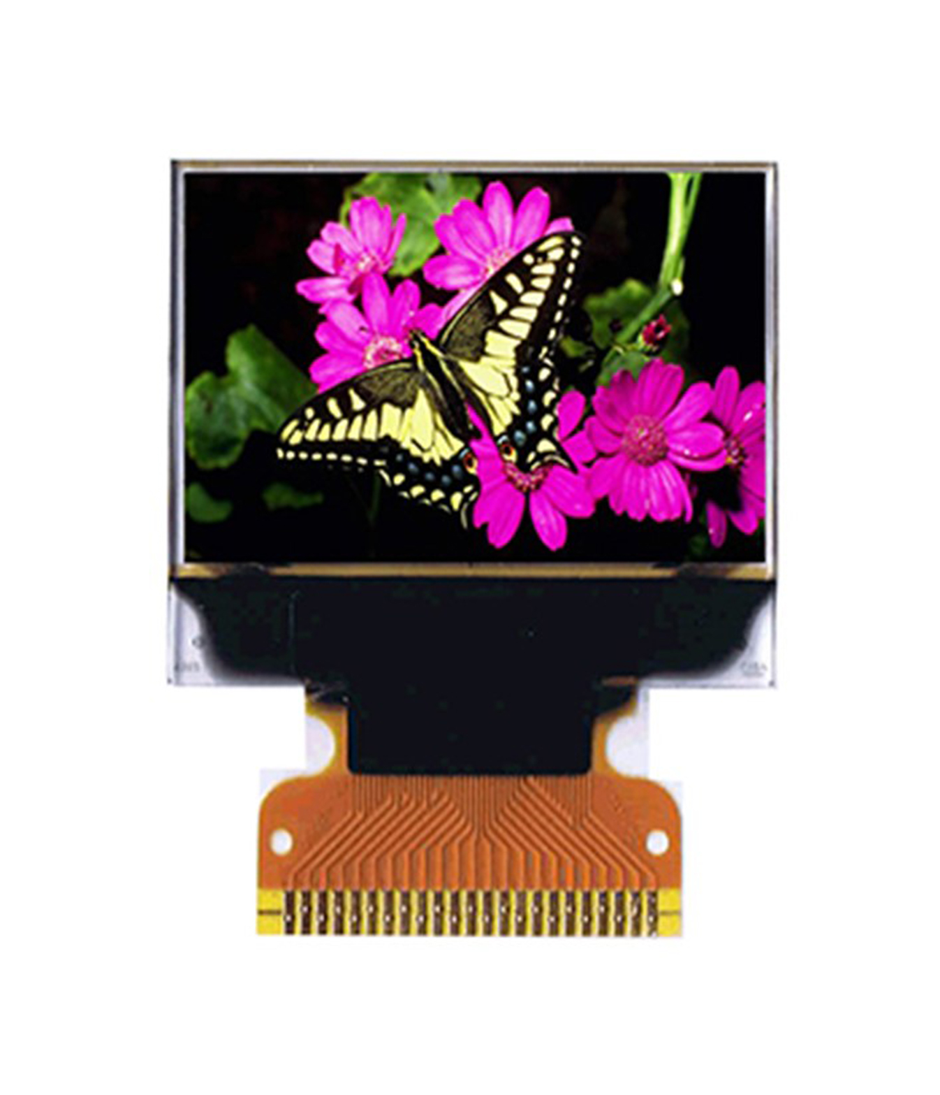 Midas Passive matrix OLED Display 96 x 64 pixel COG Parallel, SPI