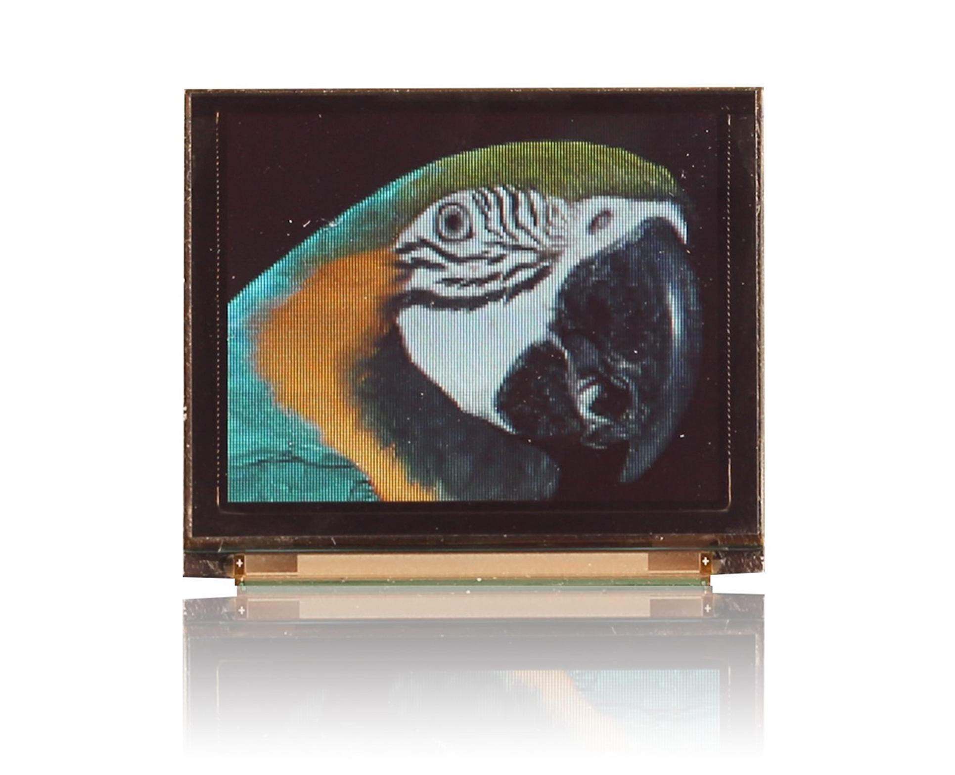 Midas Passive matrix OLED Display 160 x 128 pixel COG I2C, Parallel, SPI
