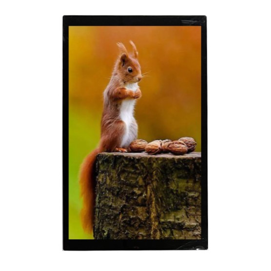 Midas MDT0700AC-USBC TFT LCD Display Touch Screen, 7 in, 1920 x 1200 pixels