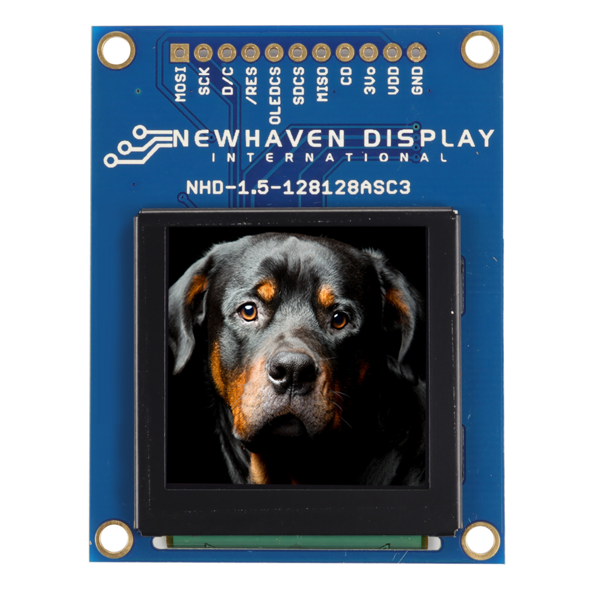NEWHAVEN DISPLAY INTERNATIONAL 1.5 in TFT matrix OLED Display 128 x 128 pixel PCB Parallel