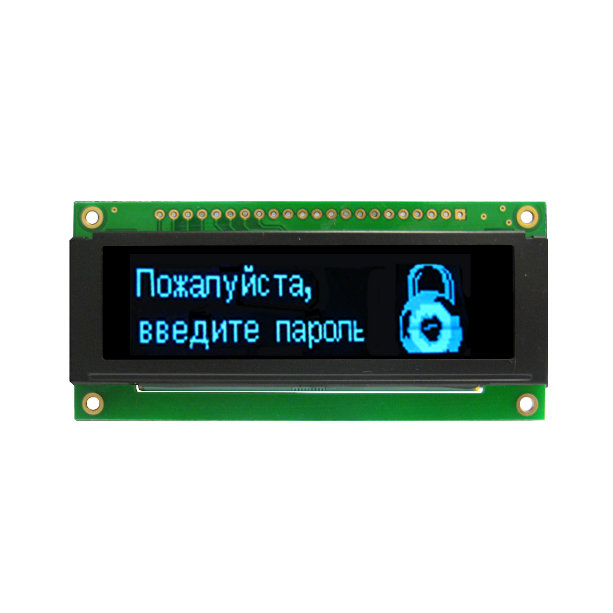 NEWHAVEN DISPLAY INTERNATIONAL 2.8 in Graphic Oled matrix Blue OLED Display 256 x 64 pixel 4 Wire SPI, Parallel