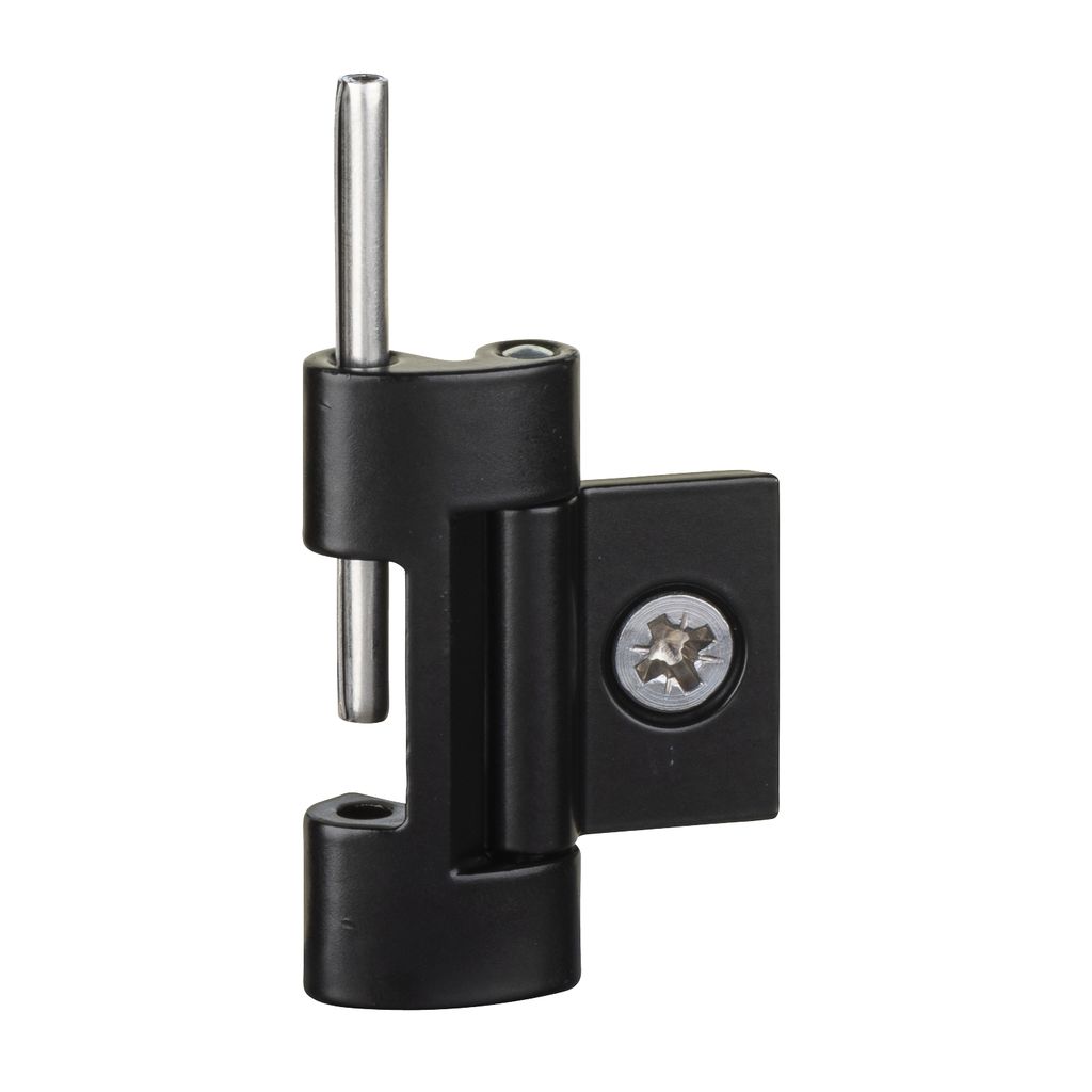 nsyaedh180s3d Schneider Electric Zamak Hinge