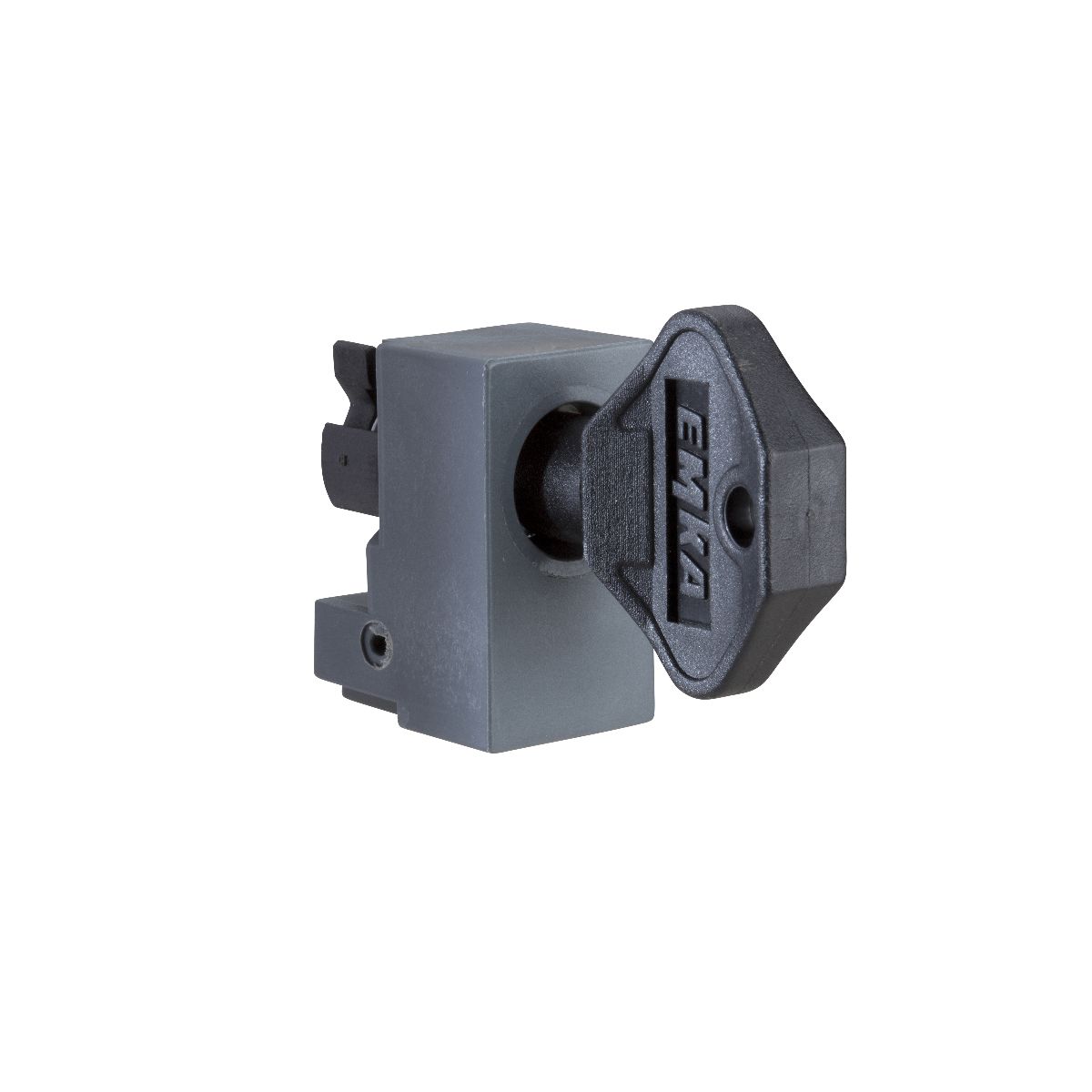 Schneider Electric PanelSeT Series 8 mm Triangular Lock For Use With Thalassa PLA, SF, Spacial SM, SD