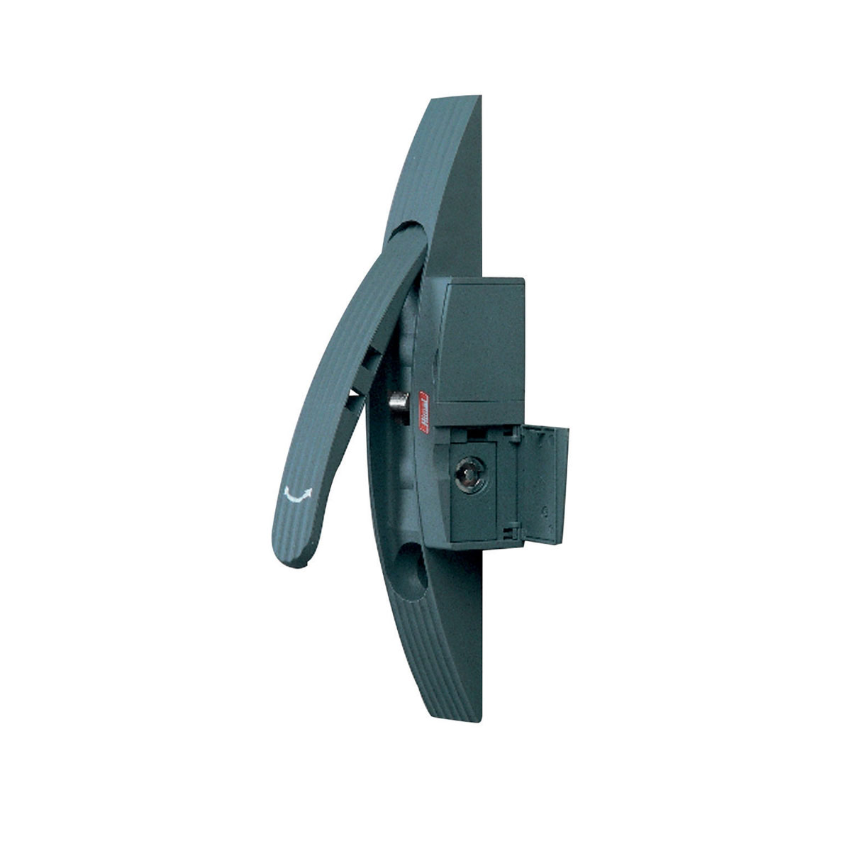 Schneider Electric Black RAL 7011 Polyamide Locking Handle, Swing