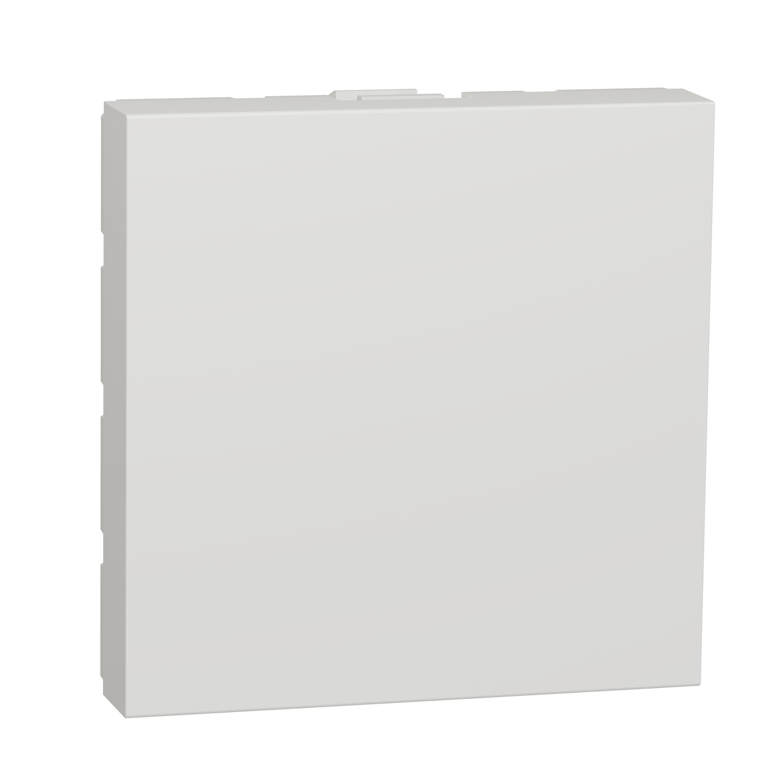 Schneider Electric Blind Cover