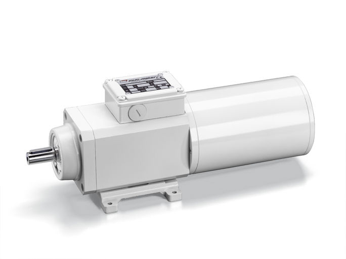 Mini Motor PAF4T2 Helical AC Geared Motor, 130 W, 3 Phase, 2-Pole, 230V, 400 V, Flange, Foot Mounting