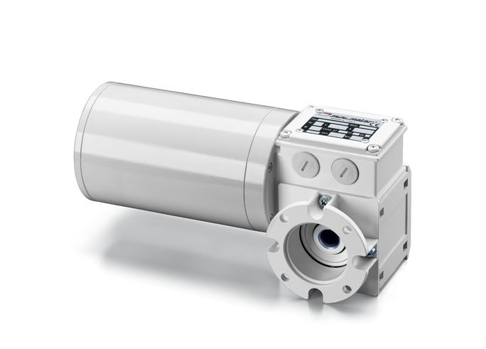 Mini Motor Clean - F Worm AC Geared Motor, 130 W, 2-Pole, 230V, 400 V