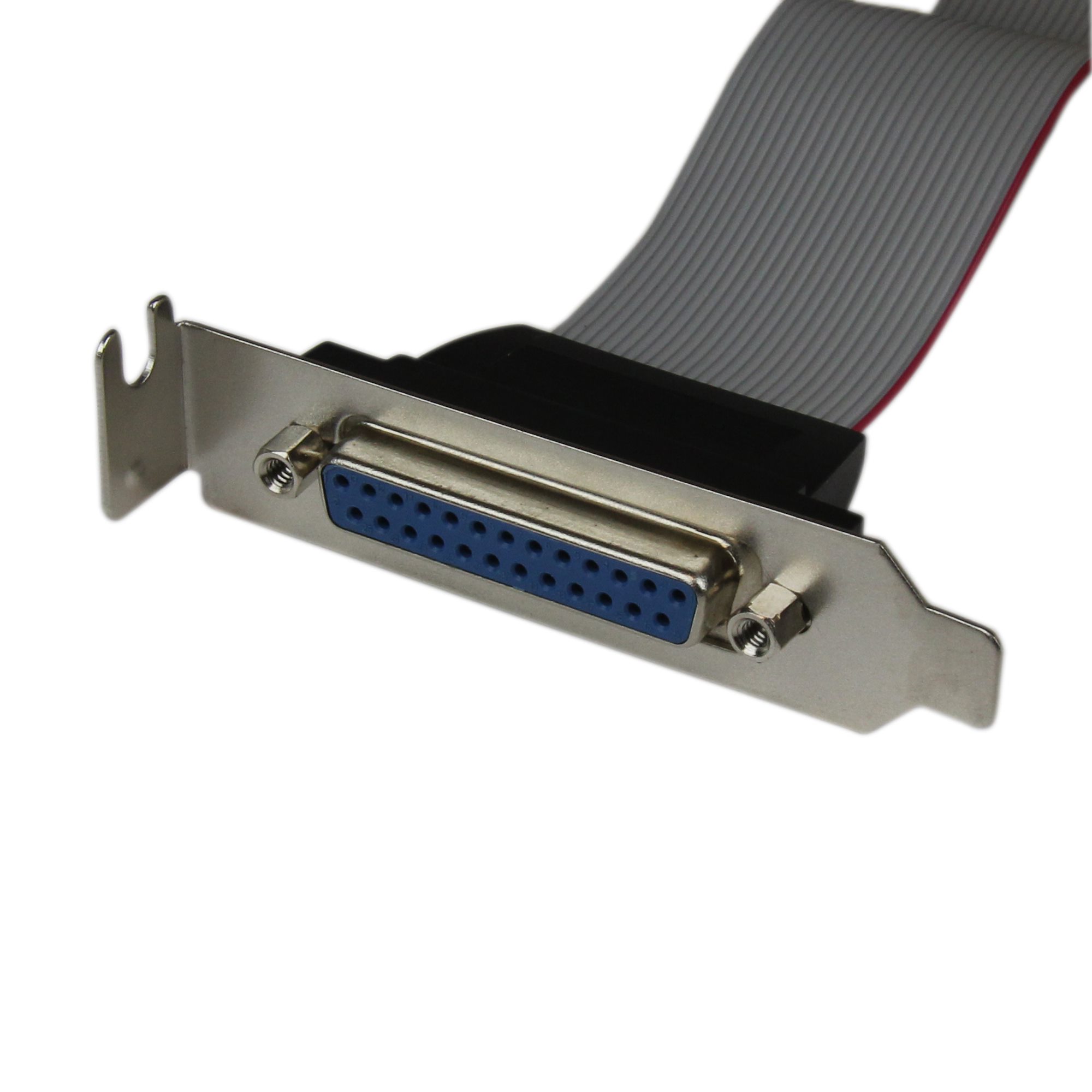 plate25f16lp StarTech.com Female D-Sub 25-Pin to Male IDC26 Serial Cable, 400 mm Polyvinyl Chloride, Plate Series