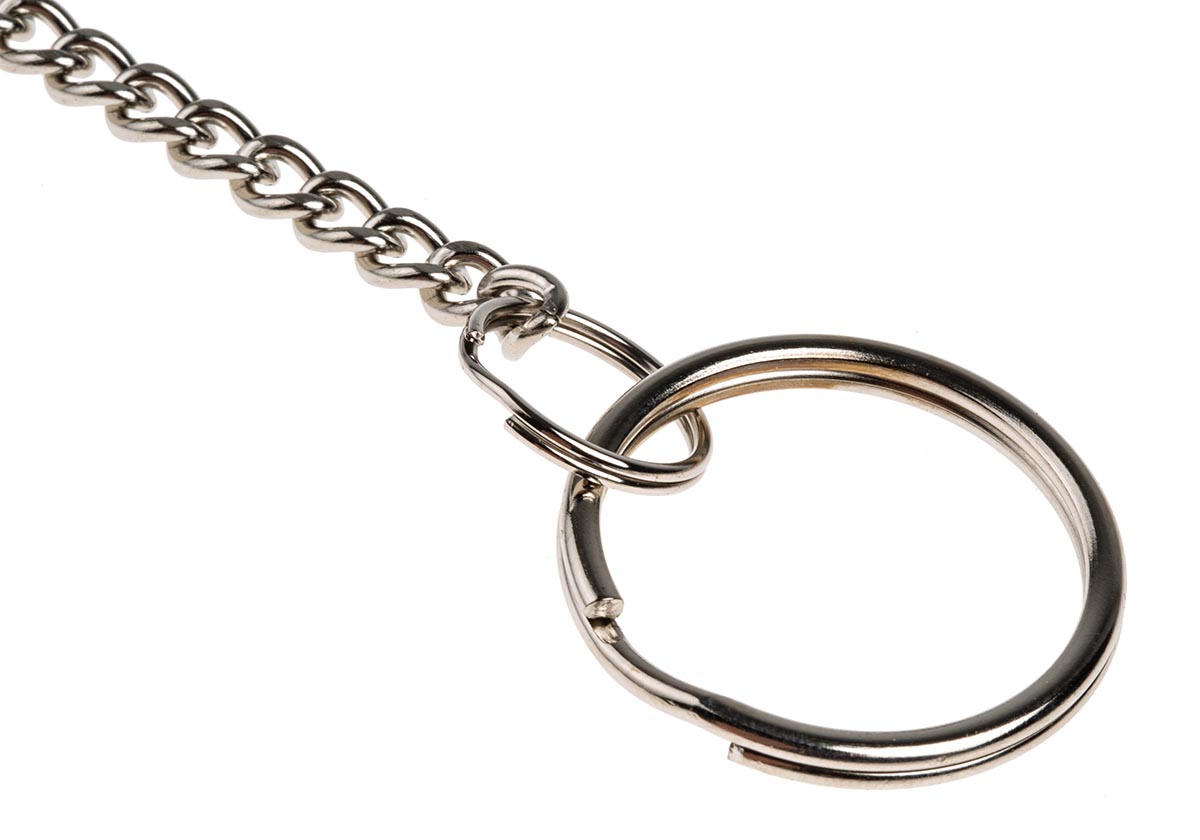 rkcts Securikey Pocket Key Chain Key Chain