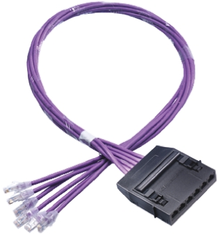 HellermannTyton Connectivity RN06UC6 Cat6 RJ45 6 Port Cassette to Plug Cable Assembly, UTP Shielding