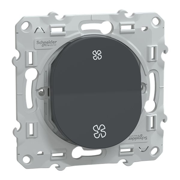 Schneider Electric Anthracite 10A Ovalis C Series