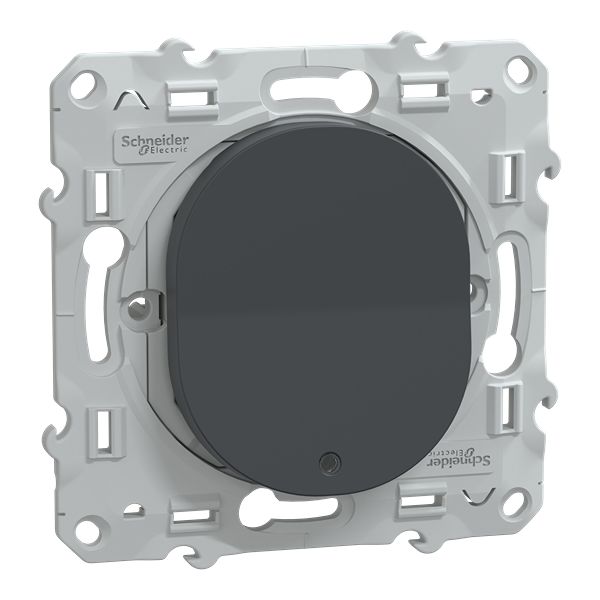 Schneider Electric Anthracite 10A Ovalis C Series