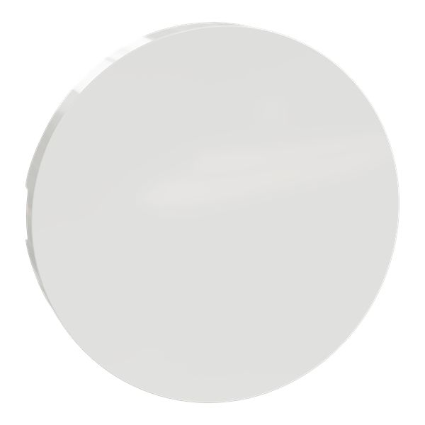 Schneider Electric White Push Button Cap for Use with Switch and Push-Button