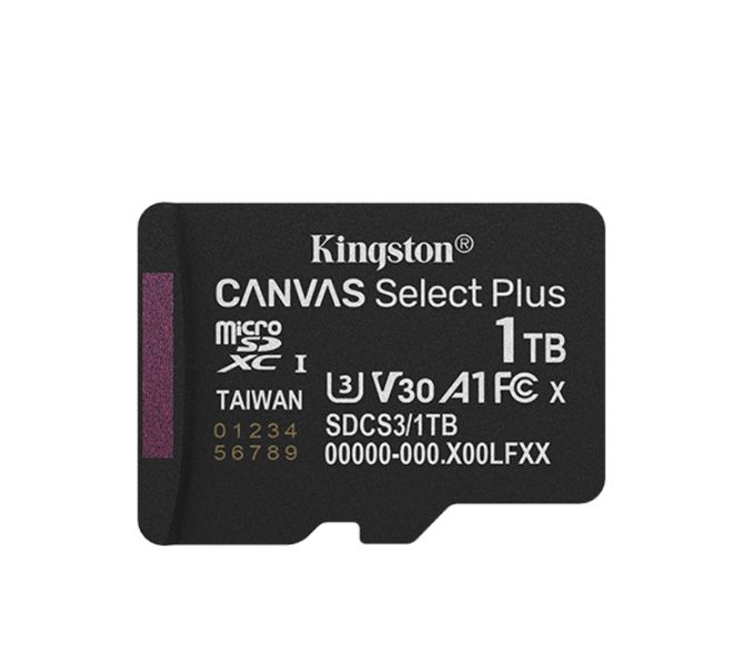 Kingston 1 TB MicroSDXC Micro SD Card, UHS-I, Class 10