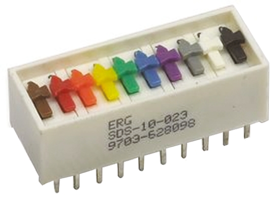 ERG Slide Rotary Coded DIP Switch Through Hole