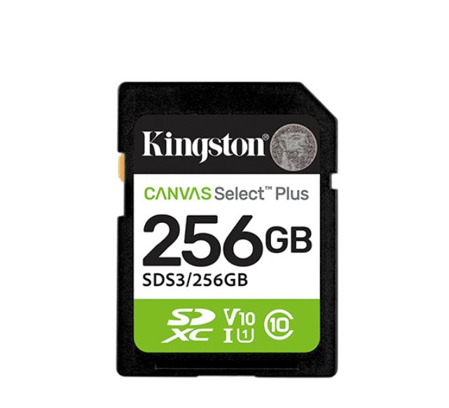 Kingston 256 GB SDXC SD Card, UHS-I, Class 10