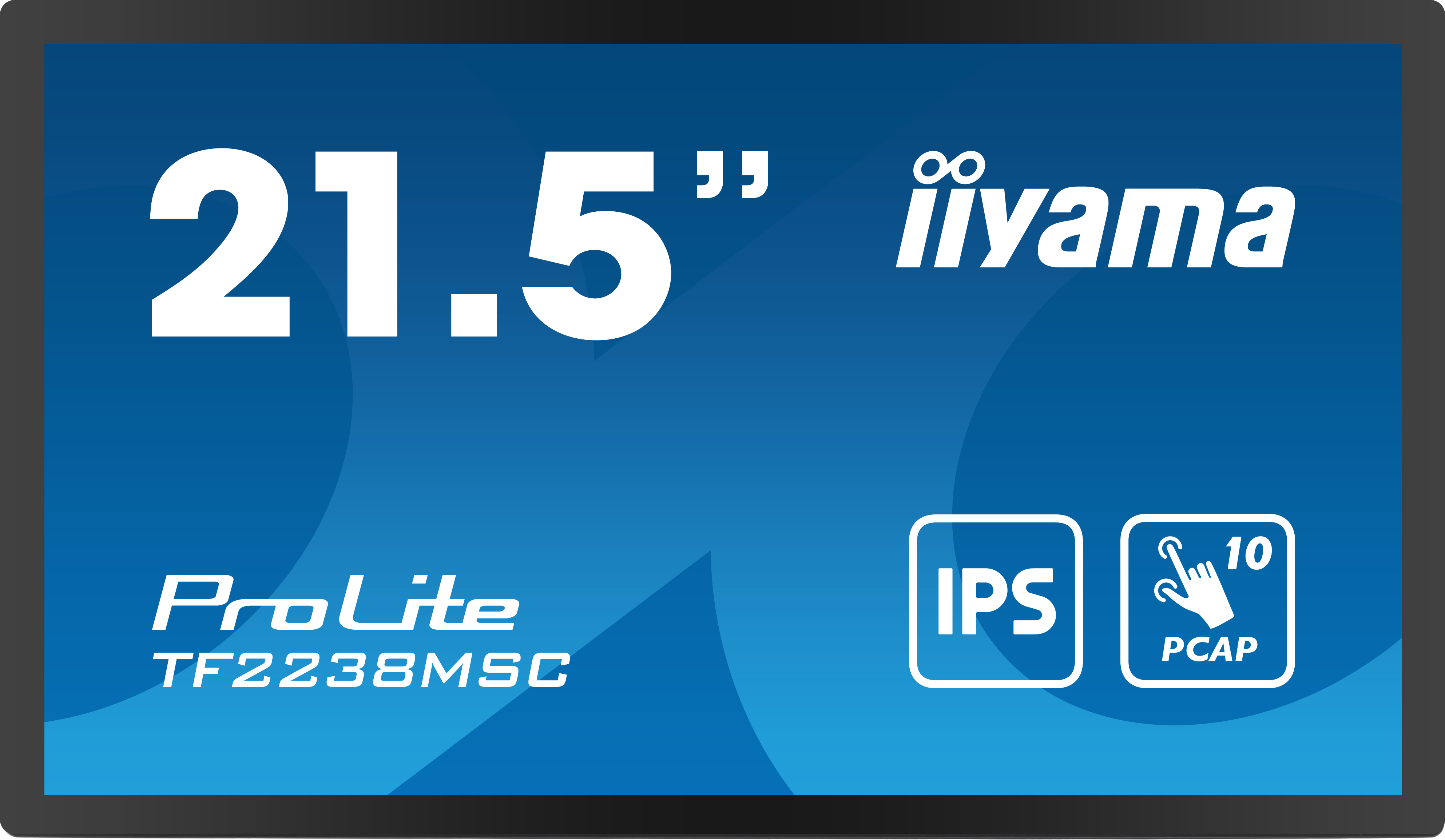 iiyama ProLite 21.5 in LCD Monitor, 1920 x 1080 pixel