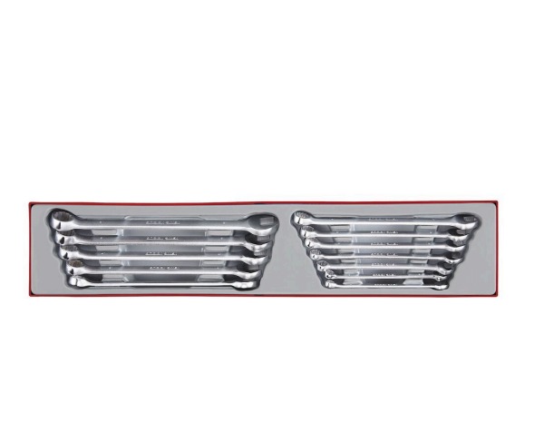 Teng Tools 12-Piece Spanner Set, 12, Polystyrene