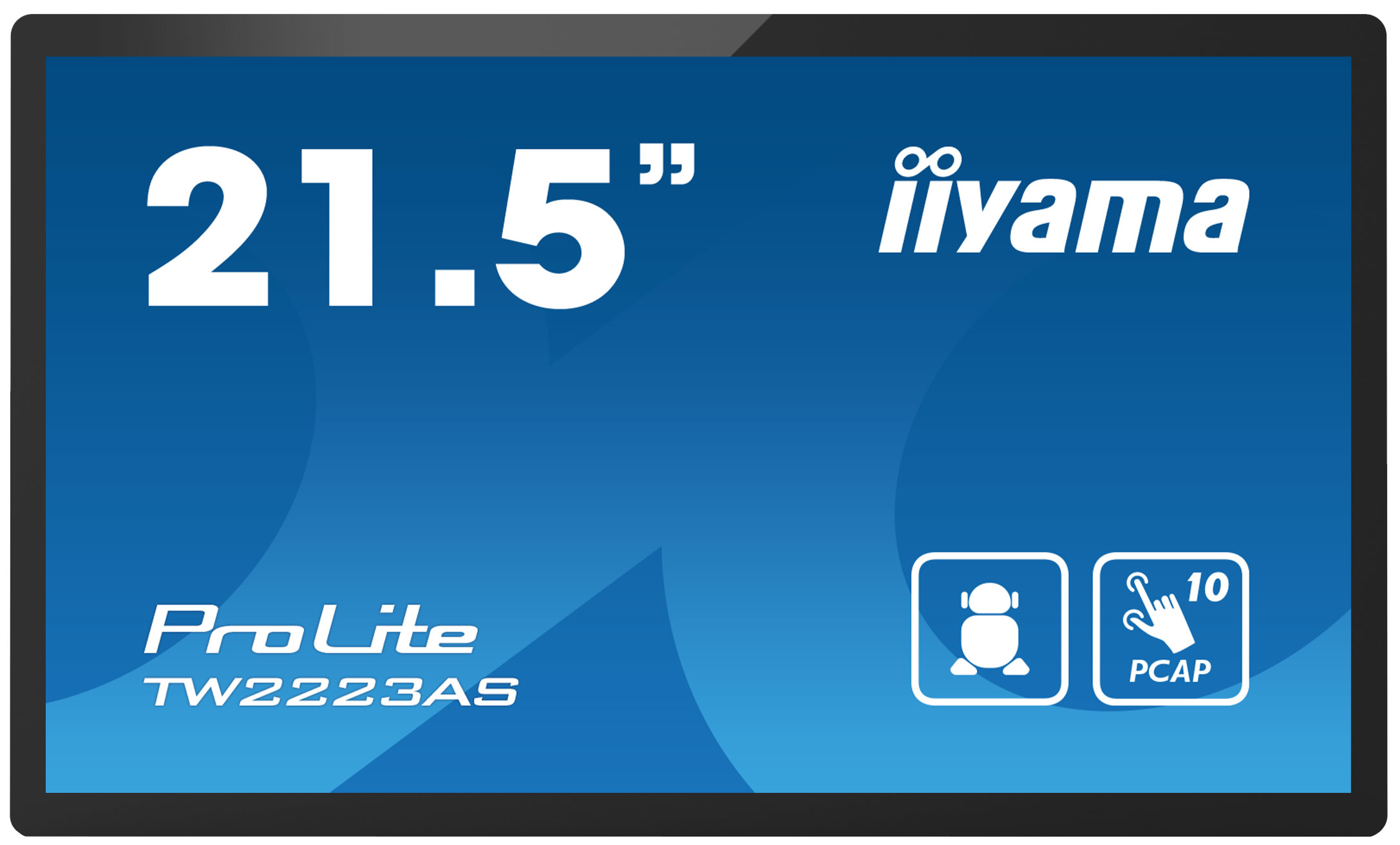 iiyama ProLite 21.5 in LCD Monitor, 1920 x 1080 pixel
